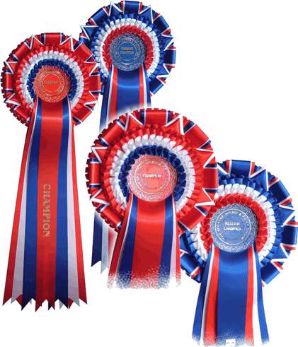 Thistle Ridge Equestrian Services Thistle Ridge Equestrian Services
